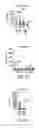 Fig. 12 - Compositions and methods for cancer therapy