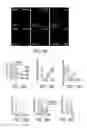 Fig. 22 - Compositions and methods for cancer therapy