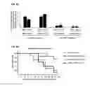 Fig. 09 - Compositions and methods comprising 2-(acylamino)imidazoles