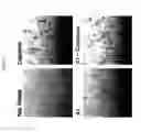 Fig. 06 - Hydroxypyridone derivatives, pharmaceutical compositions thereof, and their therapeutic use for treating inflammatory, neurodegenerative, or immune-mediated diseases