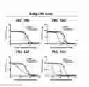 Fig. 13 - Compositions, packaged pharmaceuticals, and methods of using hedgehog pathway modulators for the sensitization of resistant tumors
