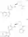 Fig. 166 - Inhibitors of influenza viruses replication