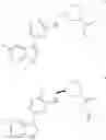 Fig. 168 - Inhibitors of influenza viruses replication