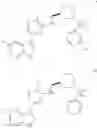Fig. 227 - Inhibitors of influenza viruses replication