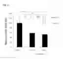 Fig. 04 - Therapeutic agent for ocular fundus disease