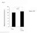 Fig. 06 - Therapeutic agent for ocular fundus disease