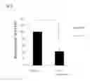 Fig. 09 - Therapeutic agent for ocular fundus disease