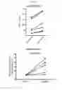 Fig. 05 - β-glucan methods and compositions that affect the tumor microenvironment