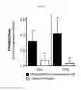 Fig. 15 - β-glucan methods and compositions that affect the tumor microenvironment