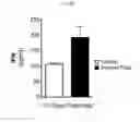 Fig. 17 - β-glucan methods and compositions that affect the tumor microenvironment