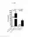 Fig. 24 - β-glucan methods and compositions that affect the tumor microenvironment