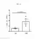 Fig. 27 - β-glucan methods and compositions that affect the tumor microenvironment
