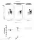 Fig. 33 - β-glucan methods and compositions that affect the tumor microenvironment