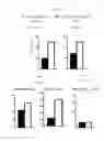 Fig. 34 - β-glucan methods and compositions that affect the tumor microenvironment