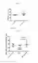 Fig. 40 - β-glucan methods and compositions that affect the tumor microenvironment