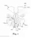 Fig. 02 - Polysaccharide particle mixture