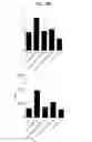 Fig. 07 - ANTIGEN SPECIFIC TOLEROGENIC ANTIGEN PRESENTING CELLS AND RELATED USES COMPOSITIONS, METHODS AND SYSTEMS