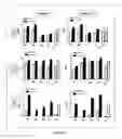 Fig. 04 - Management of ischemia using pooled mesenchymal stromal cell composition