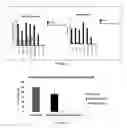 Fig. 05 - Management of ischemia using pooled mesenchymal stromal cell composition