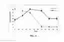 Fig. 11 - Lineage differentiation of encapsulated embryonic stem cells