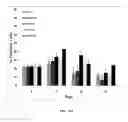 Fig. 14 - Lineage differentiation of encapsulated embryonic stem cells