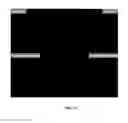 Fig. 30 - Lineage differentiation of encapsulated embryonic stem cells