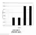 Fig. 04 - Bi-layer dual release probiotic tablets