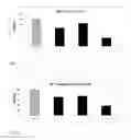 Fig. 02 - COMPOSITIONS BASED ON PLANT EXTRACTS FOR INHIBITION OF THE 5-ALPHA REDUCTASE