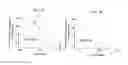 Fig. 04 - METHODS FOR PREVENTING OR TREATING INSULIN RESISTANCE