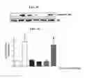 Fig. 10 - METHODS FOR PREVENTING OR TREATING INSULIN RESISTANCE