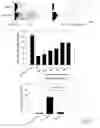 Fig. 02 - METHODS AND COMPOSITIONS FOR THE TREATMENT OF AXONAL AND NEURONAL DEGENERATION