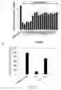 Fig. 03 - METHODS AND COMPOSITIONS FOR THE TREATMENT OF AXONAL AND NEURONAL DEGENERATION