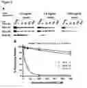 Fig. 06 - Compositions and methods for targeting nuclear import shuttles and treating inflammatory disorders