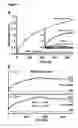 Fig. 07 - Compositions and methods for targeting nuclear import shuttles and treating inflammatory disorders
