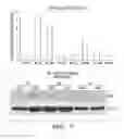 Fig. 06 - Methods and compositions for immunomodulation