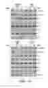Fig. 19 - Methods and compositions for immunomodulation