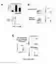 Fig. 26 - Methods and compositions for immunomodulation