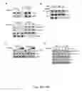 Fig. 37 - Methods and compositions for immunomodulation