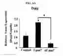 Fig. 10 - Use of CPNE7 for differentiating non-dental mesenchymal stem cells into odontoblasts, regenerating dental pulp and treating dentin hypersensitivity