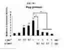 Fig. 16 - Use of CPNE7 for differentiating non-dental mesenchymal stem cells into odontoblasts, regenerating dental pulp and treating dentin hypersensitivity