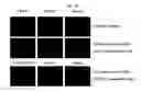 Fig. 25 - Use of CPNE7 for differentiating non-dental mesenchymal stem cells into odontoblasts, regenerating dental pulp and treating dentin hypersensitivity