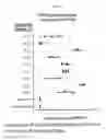 Fig. 04 - PCSK9 vaccine
