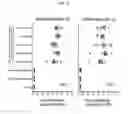 Fig. 13 - PCSK9 vaccine