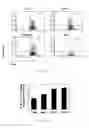 Fig. 11 - COMPOSITIONS AND METHODS COMPRISING KLK3 OR FOLH1 ANTIGEN