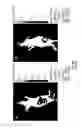 Fig. 16 - Lipocationic polymers and uses thereof