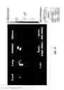 Fig. 18 - Lipocationic polymers and uses thereof
