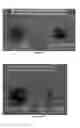 Fig. 09 - METAL-POLYSACCHARIDE CONJUGATES: METHODS FOR CANCER THERAPY