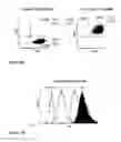 Fig. 11 - Compounds and methods for trans-membrane delivery of molecules