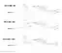 Fig. 21 - Compounds and methods for trans-membrane delivery of molecules