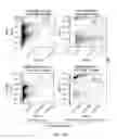 Fig. 02 - Carrier-antibody compositions and methods of making and using the same